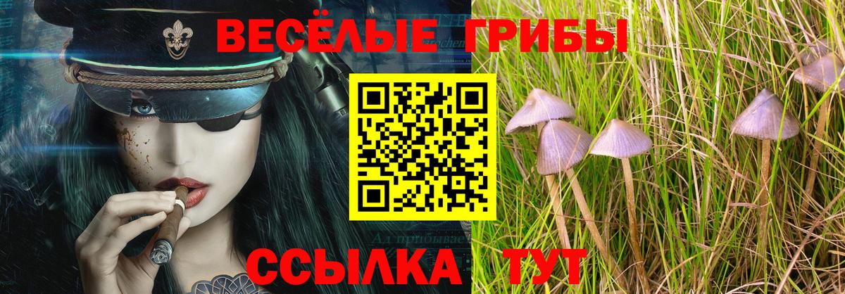 Псилоцибиновые грибы Cubensis  Вход с VPN  Кулебаки  Псилоцибиновые грибы ЛСД 